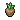 Topinambour